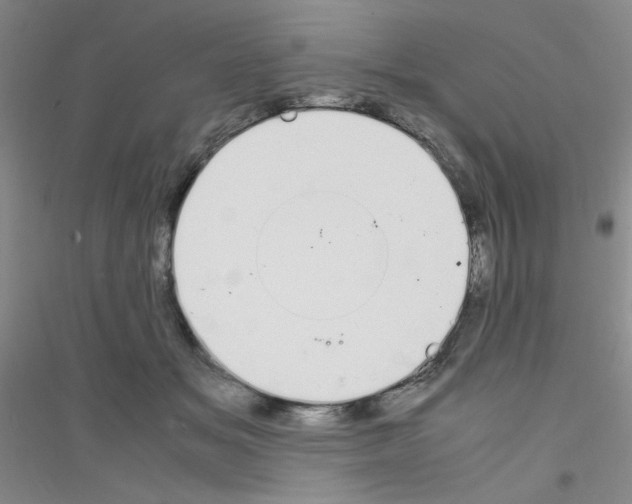 X0000116840509201001291707