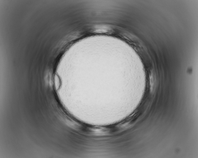 X0000116840510201001291707