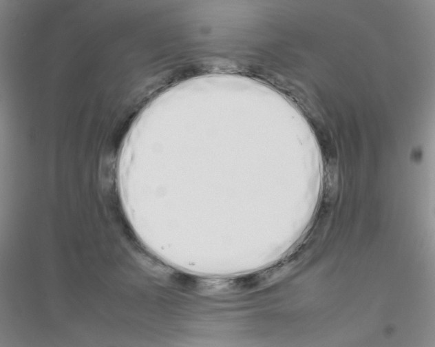 X0000116840511201001291707