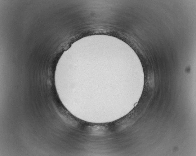 X0000116840512201001291707