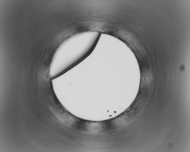 X0000116840513201001291707