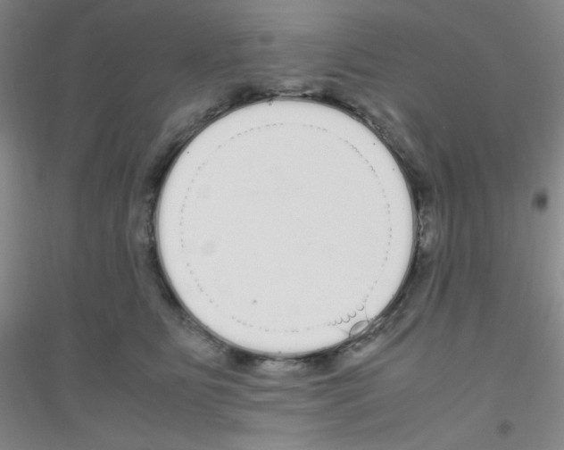 X0000116840515201001291707