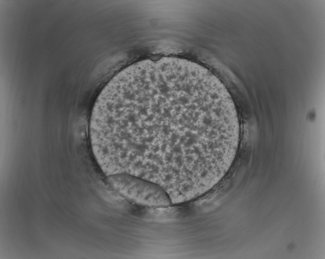 X0000116840517201001291707