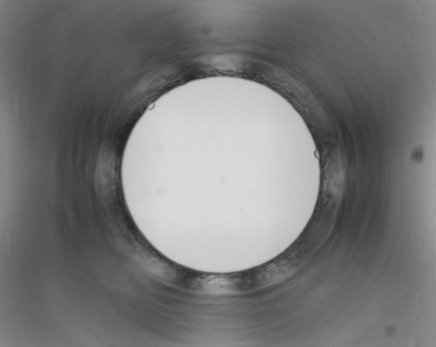 X0000116840518201001291707