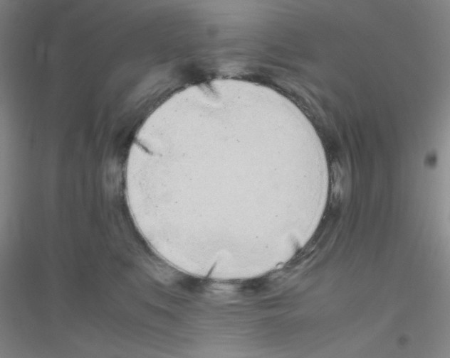 X0000116840519201001291707