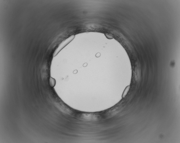 X0000116840520201001291707