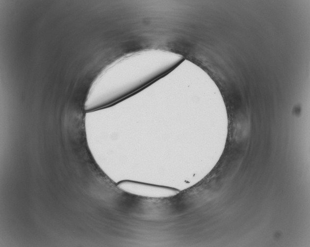 X0000116840521201001291707