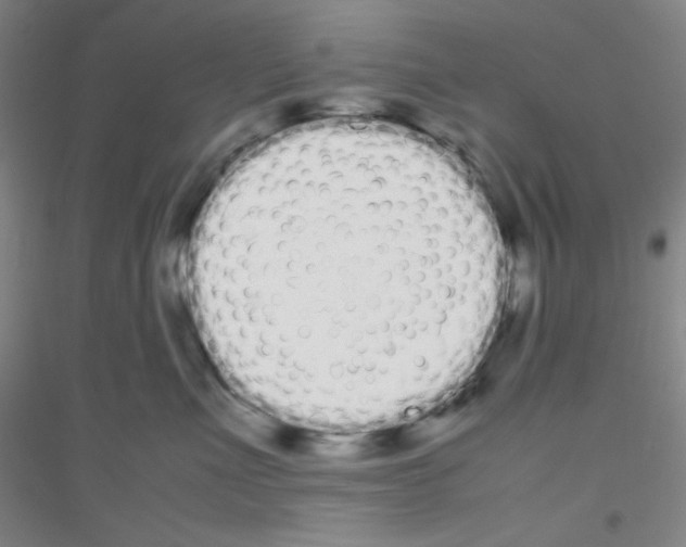X0000116840523201001291707