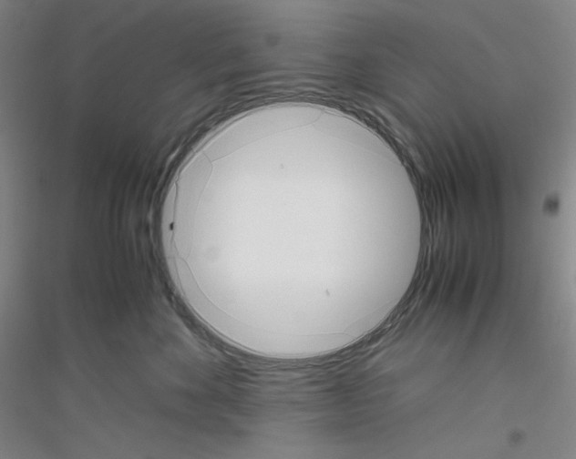 X0000116840524201001291707