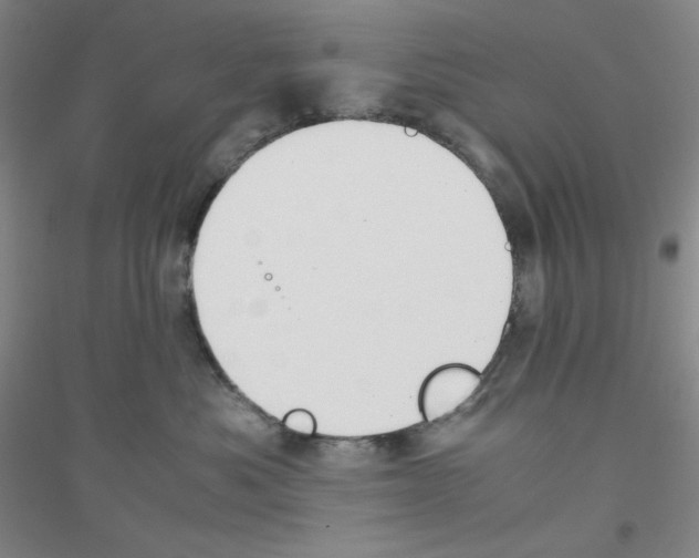 X0000116840525201001291707