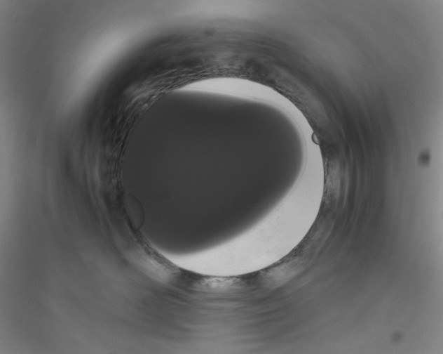 X0000116840526201001291707
