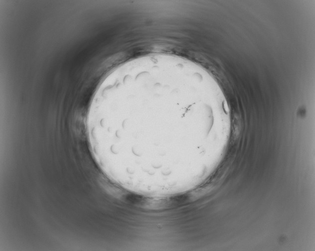 X0000116840527201001291707