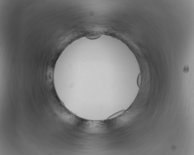 X0000116840528201001291707