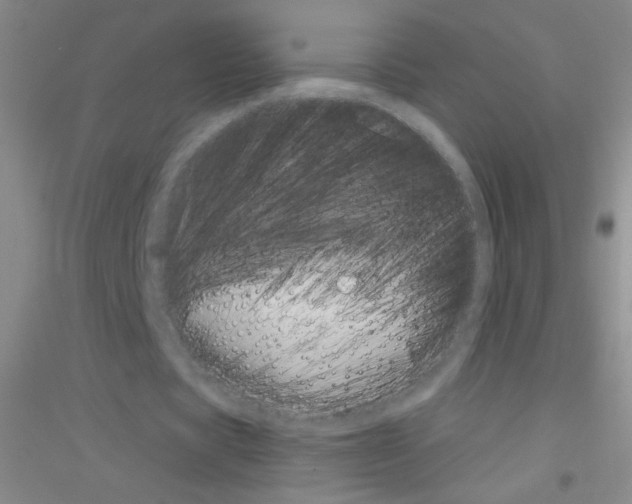 X0000116840529201001291706