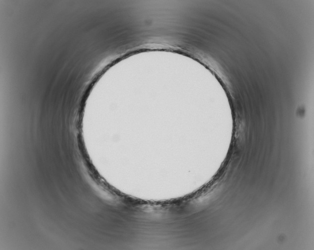 X0000116840530201001291706