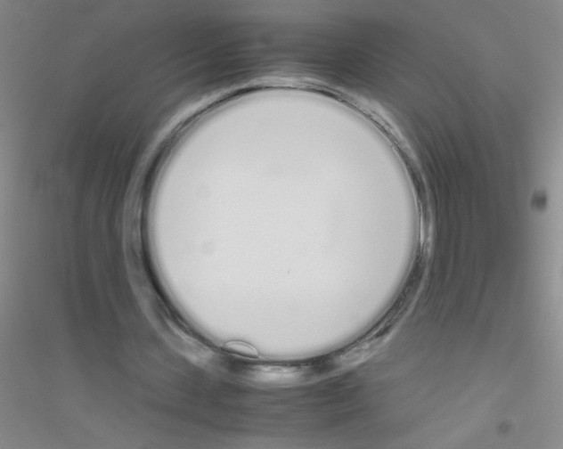X0000116840531201001291706