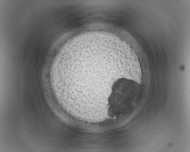 X0000116840533201001291706