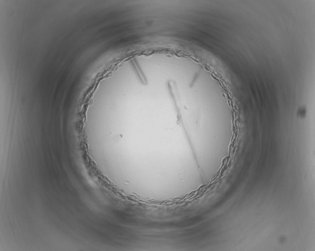 X0000116840534201001291706