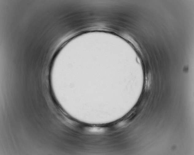 X0000116840535201001291706