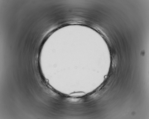 X0000116840539201001291706