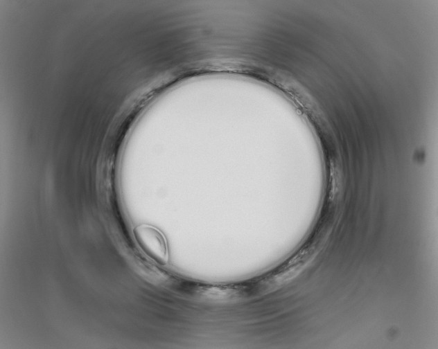X0000116840542201001291706