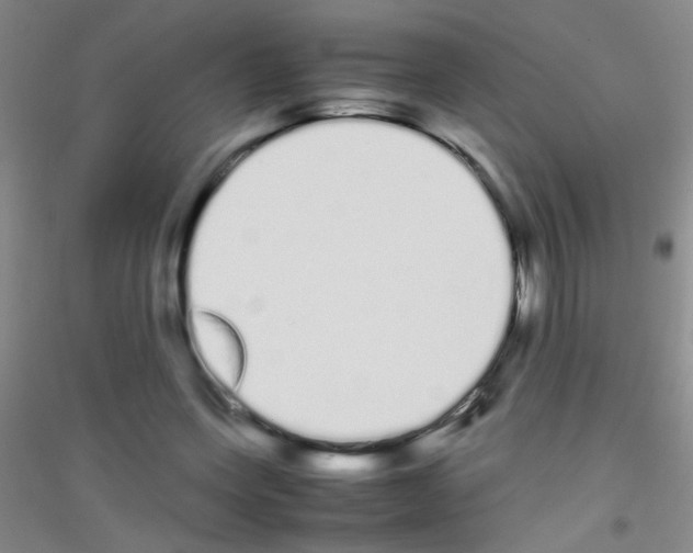X0000116840543201001291706