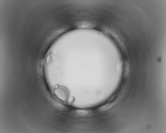 X0000116840545201001291706