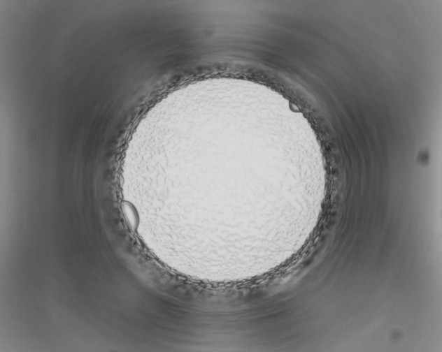 X0000116840546201001291706