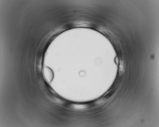 X0000116840547201001291707