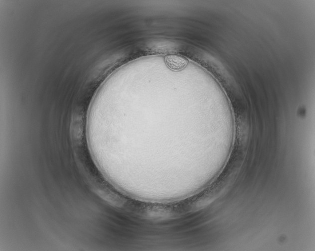 X0000116840549201001291707