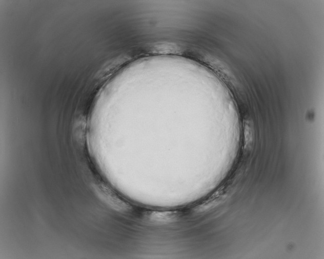 X0000116840550201001291707