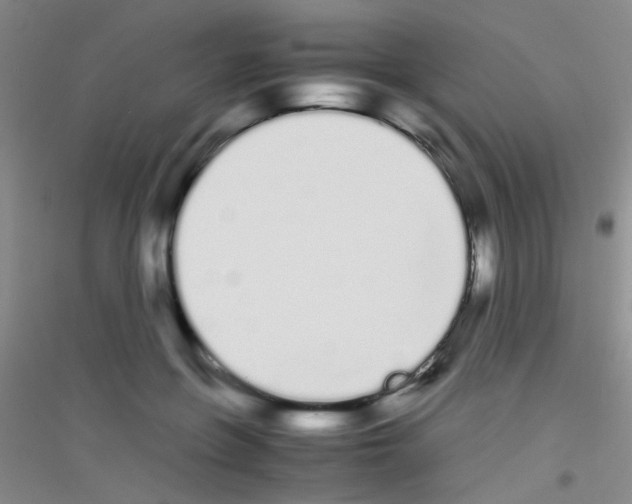 X0000116840551201001291707
