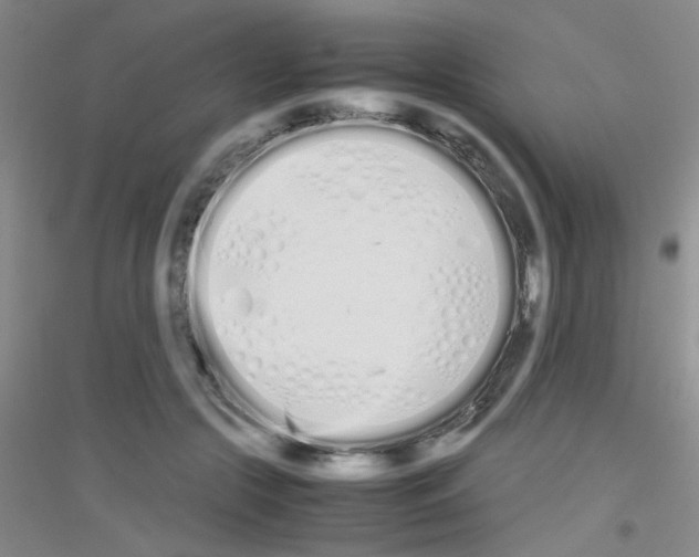 X0000116840553201001291707