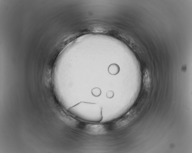 X0000116840554201001291707