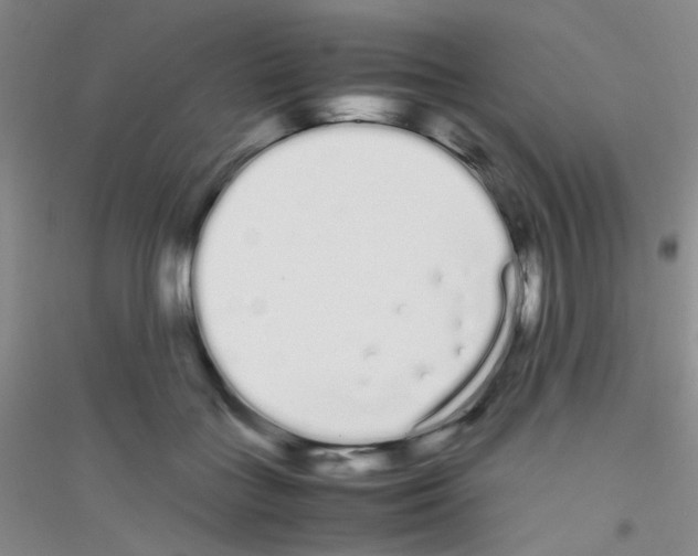 X0000116840555201001291707
