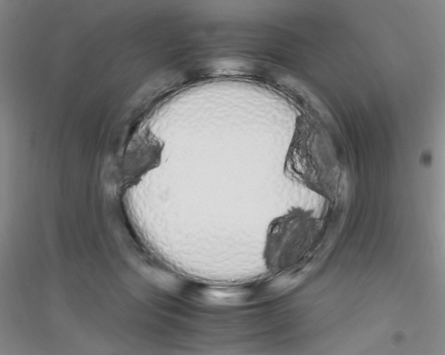 X0000116840557201001291707