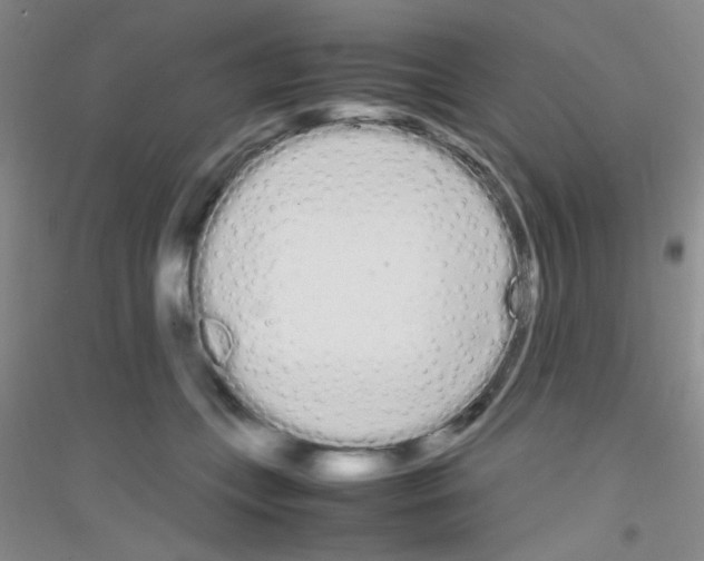 X0000116840559201001291707