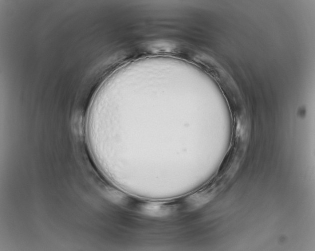 X0000116840561201001291707