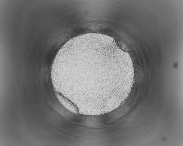 X0000116840562201001291707