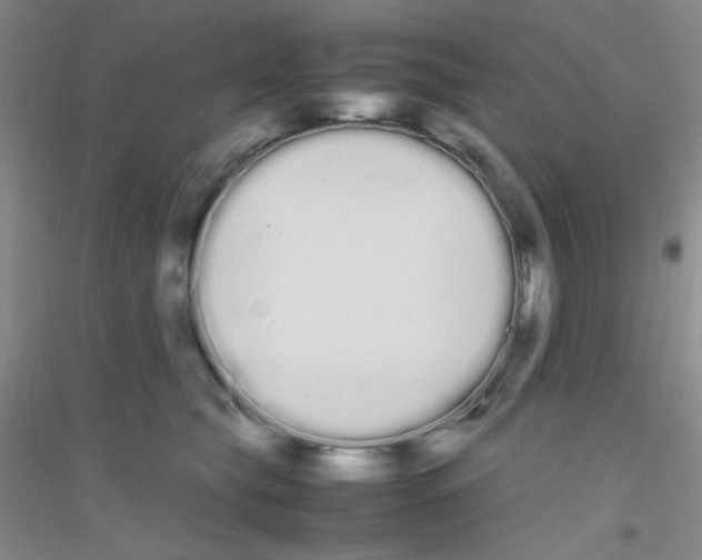 X0000116840565201001291707