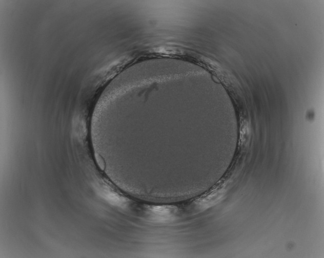 X0000116840566201001291707