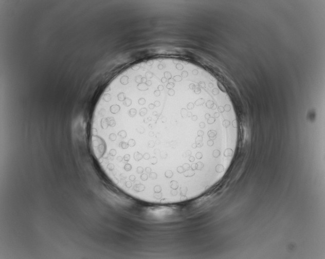 X0000116840567201001291707