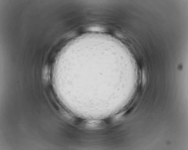 X0000116840569201001291707