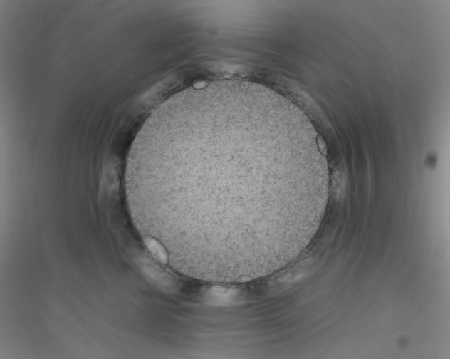 X0000116840570201001291707