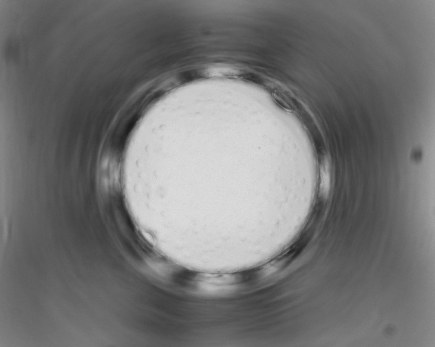 X0000116840571201001291707