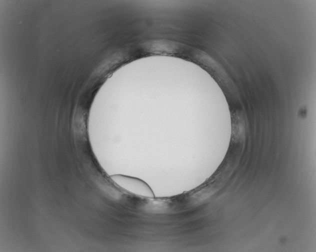 X0000116840573201001291707