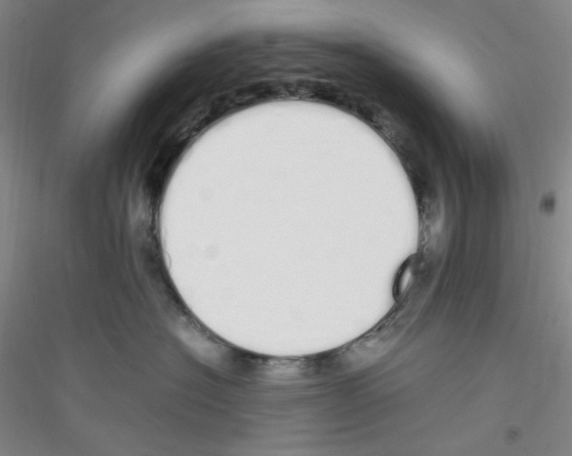X0000116840574201001291707