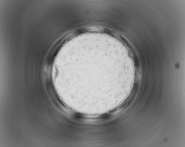 X0000116840575201001291707