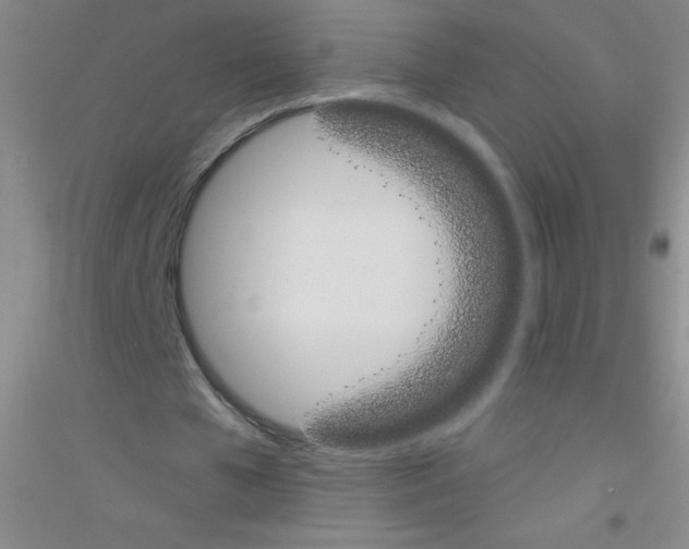 X0000116840577201001291706