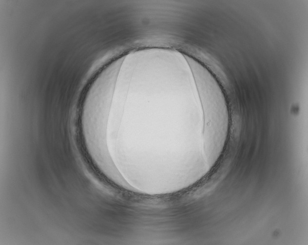 X0000116840578201001291706